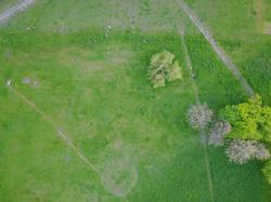 Photo Textures of Nature from Above 